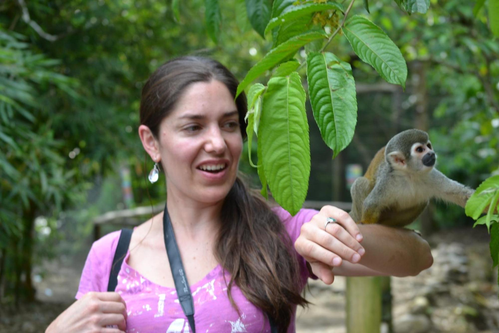 Huasquila Amazon Lodge Cotundo 部屋 写真