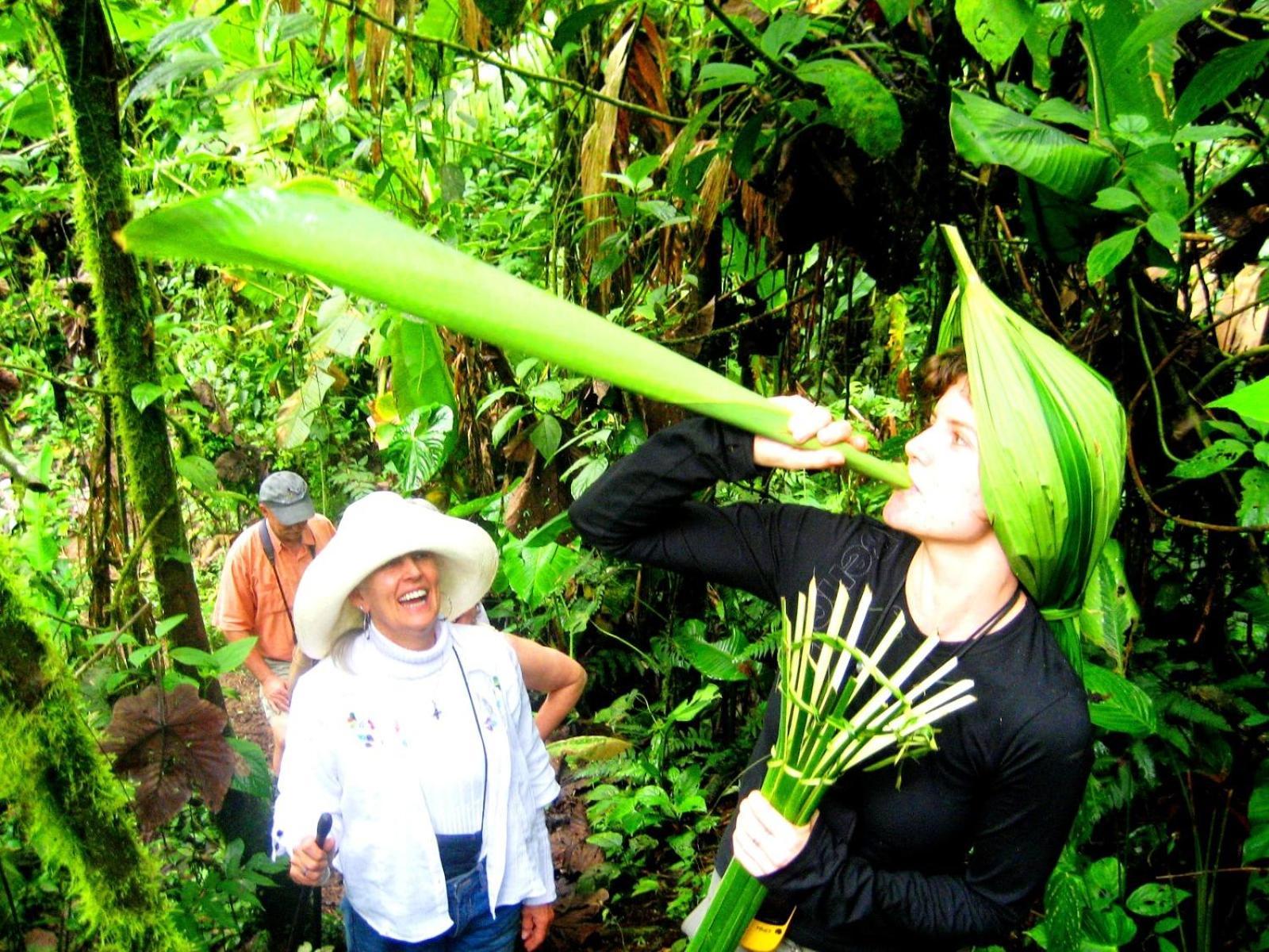 Huasquila Amazon Lodge Cotundo 部屋 写真