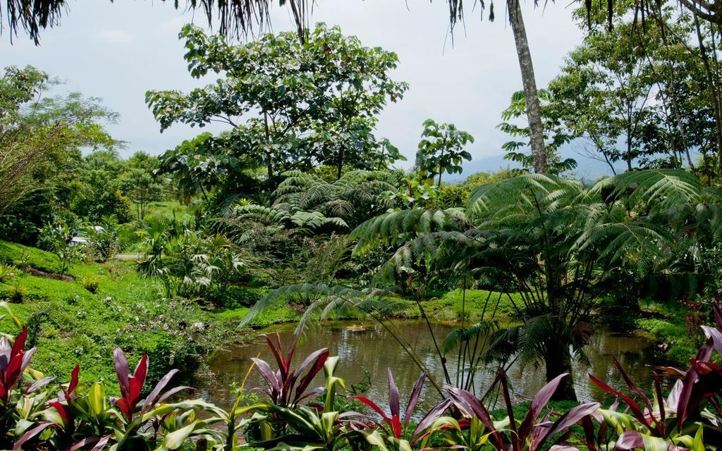 Huasquila Amazon Lodge Cotundo エクステリア 写真