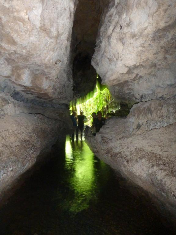 Huasquila Amazon Lodge Cotundo エクステリア 写真