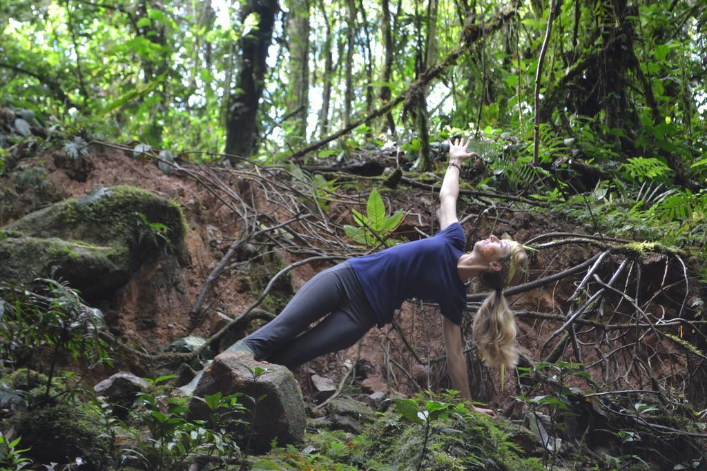 Huasquila Amazon Lodge Cotundo エクステリア 写真