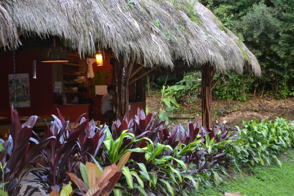 Huasquila Amazon Lodge Cotundo エクステリア 写真