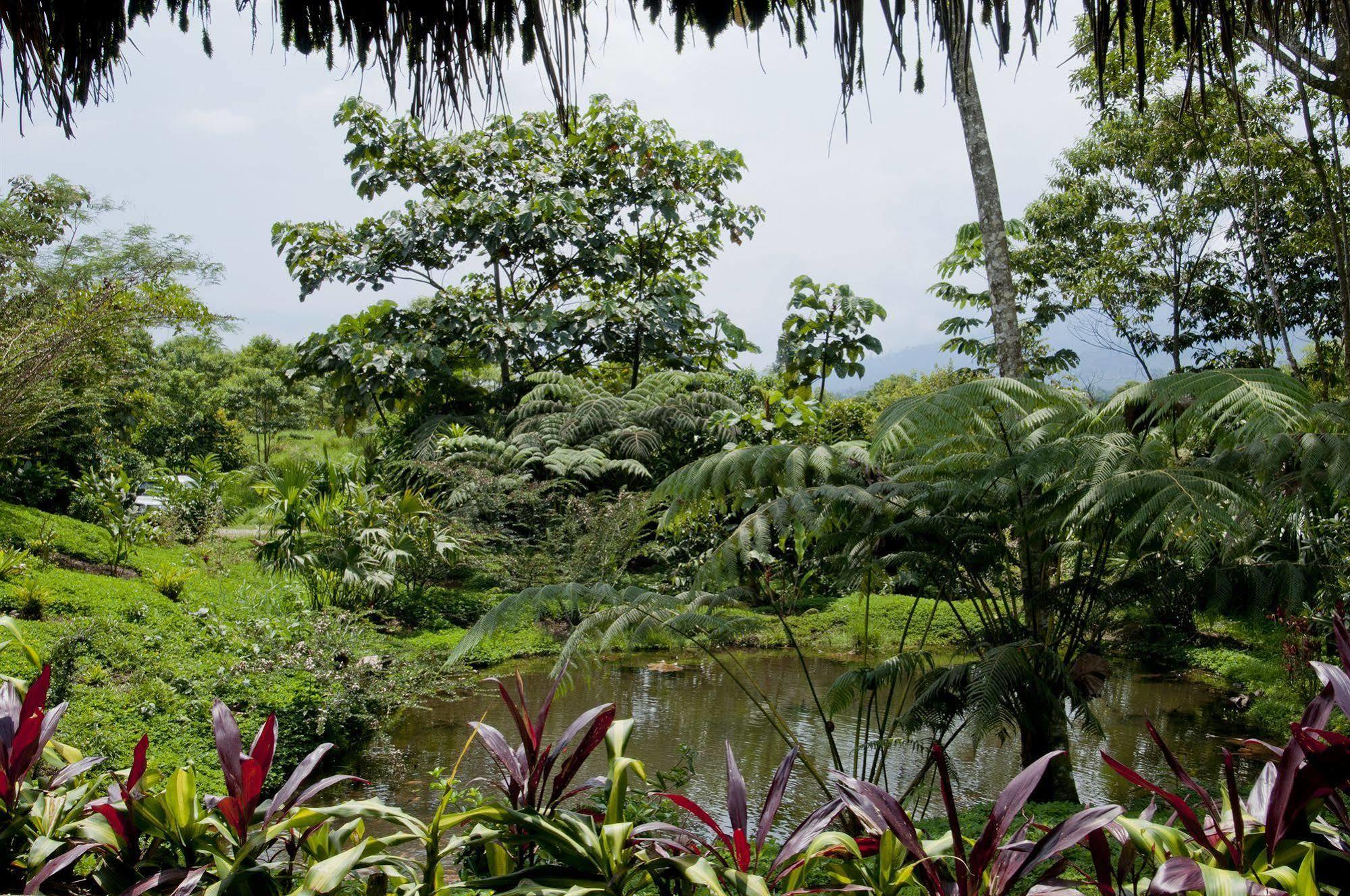 Huasquila Amazon Lodge Cotundo エクステリア 写真