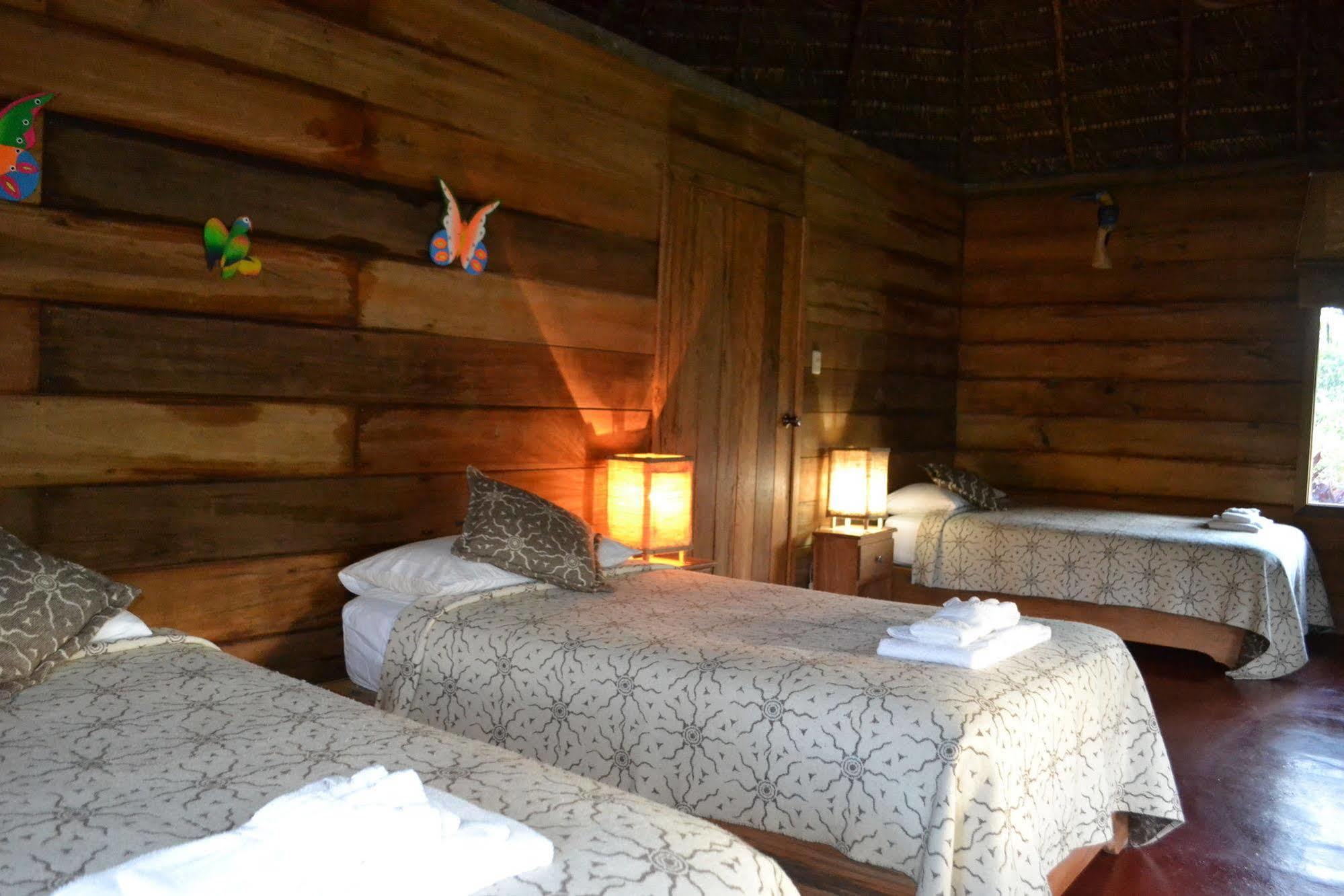 Huasquila Amazon Lodge Cotundo エクステリア 写真