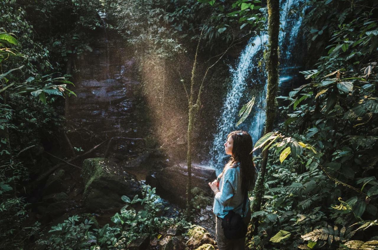 Huasquila Amazon Lodge Cotundo エクステリア 写真