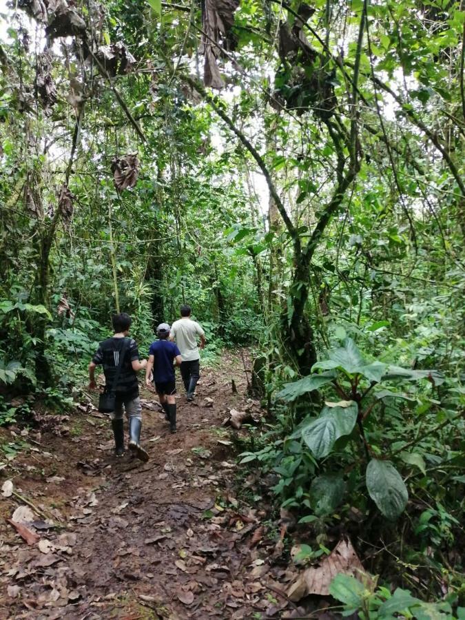 Huasquila Amazon Lodge Cotundo エクステリア 写真